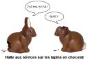 Lapin_choco.jpg